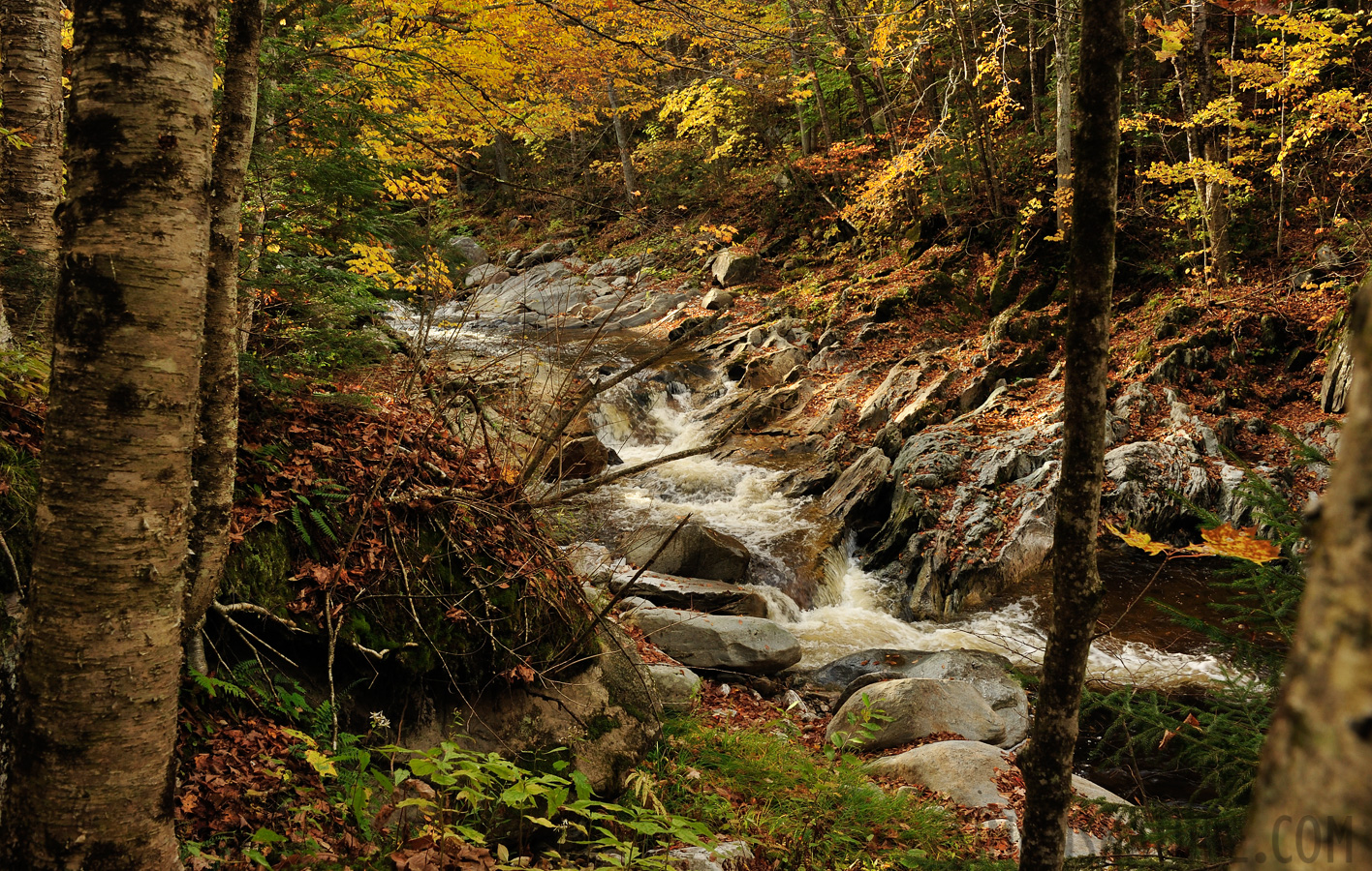 Vermont [28 mm, 1/50 sec at f / 11, ISO 500]